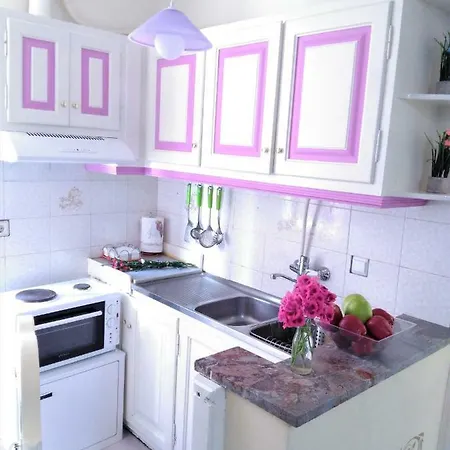 Apartment Cofineta *